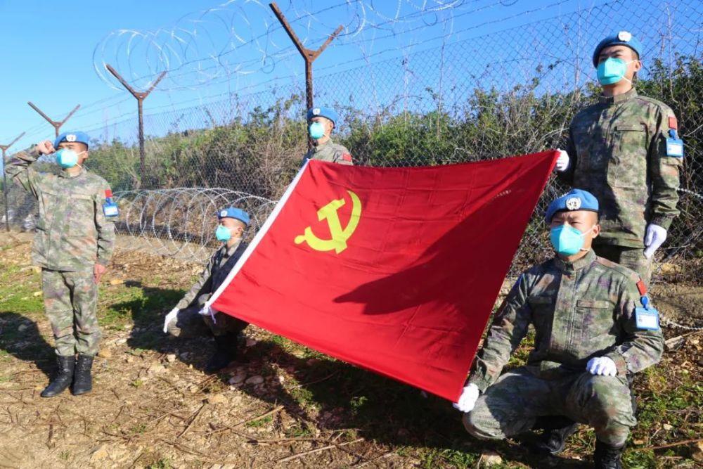 野生动物园大逃脱