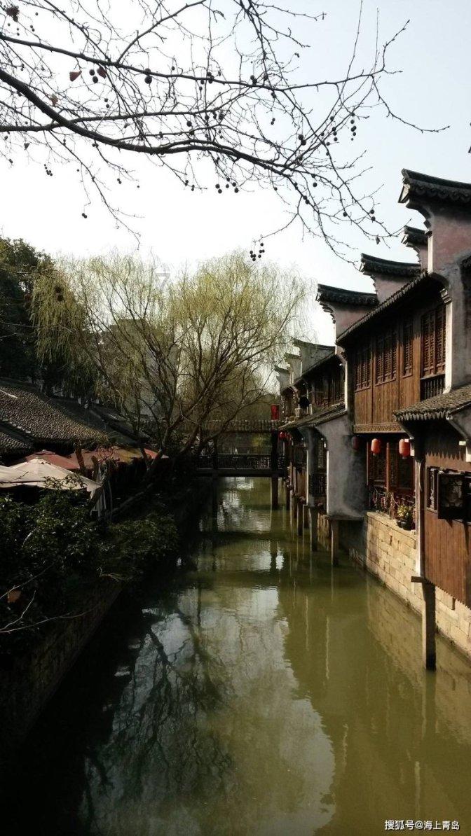 青蛙魔术师